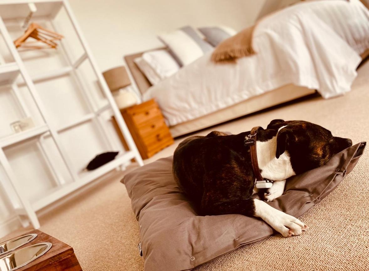 The Ventnor Annex B&B 외부 사진